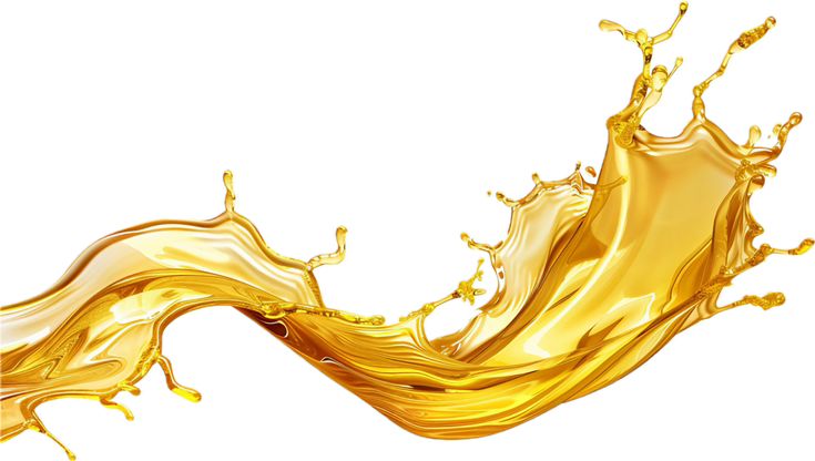 Sunflower Oil